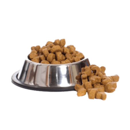 Metal stainless steel dog feeder